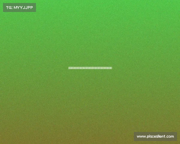 拳击冠军争霸赛丰厚奖金荣耀奖杯至高荣誉等你挑战成就梦想之路